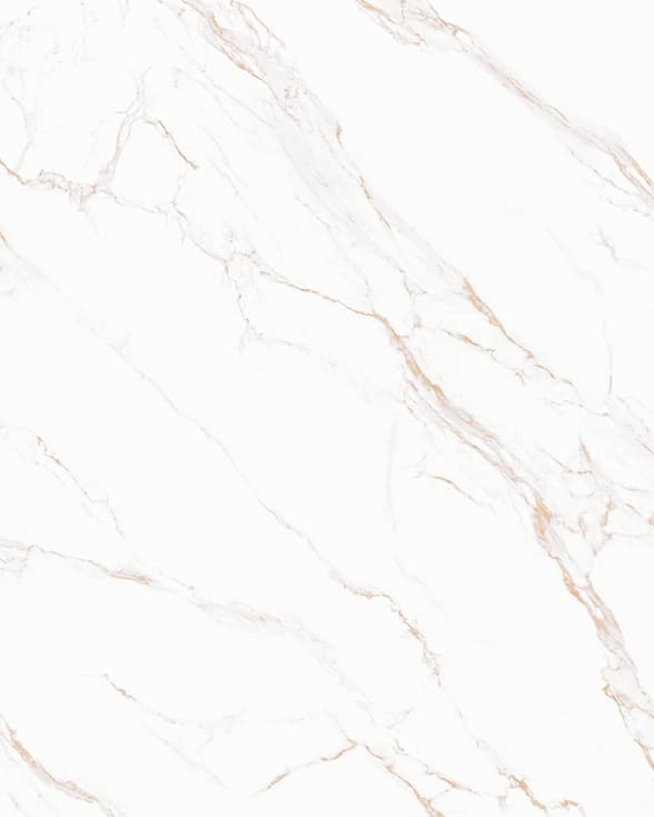 sn 163212dw293y product 4 5 1778502654483
